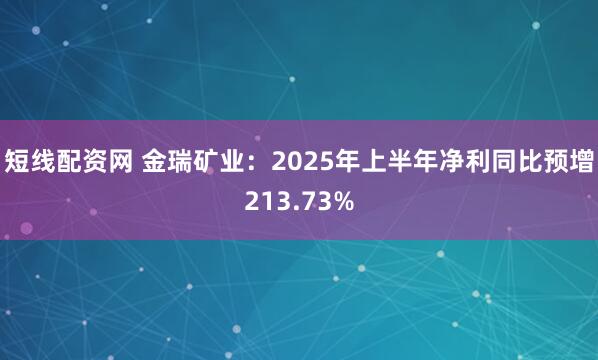 短线配资网 金瑞矿业：2025年上半年净利同比预增213.73%